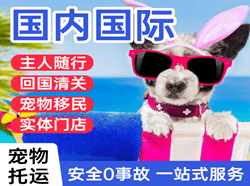 珠海空运公司国际宠物托运 【国